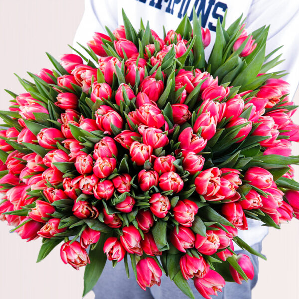 Rare Beauty – Tulips