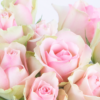 40 Pastel Roses (40cm)