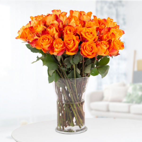 40 Orange Roses (40cm)