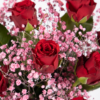10 Red Roses (40cm) with Pink Gypsophila for Valentine's Day